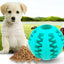 Slow Feeder Rubber Treat Ball