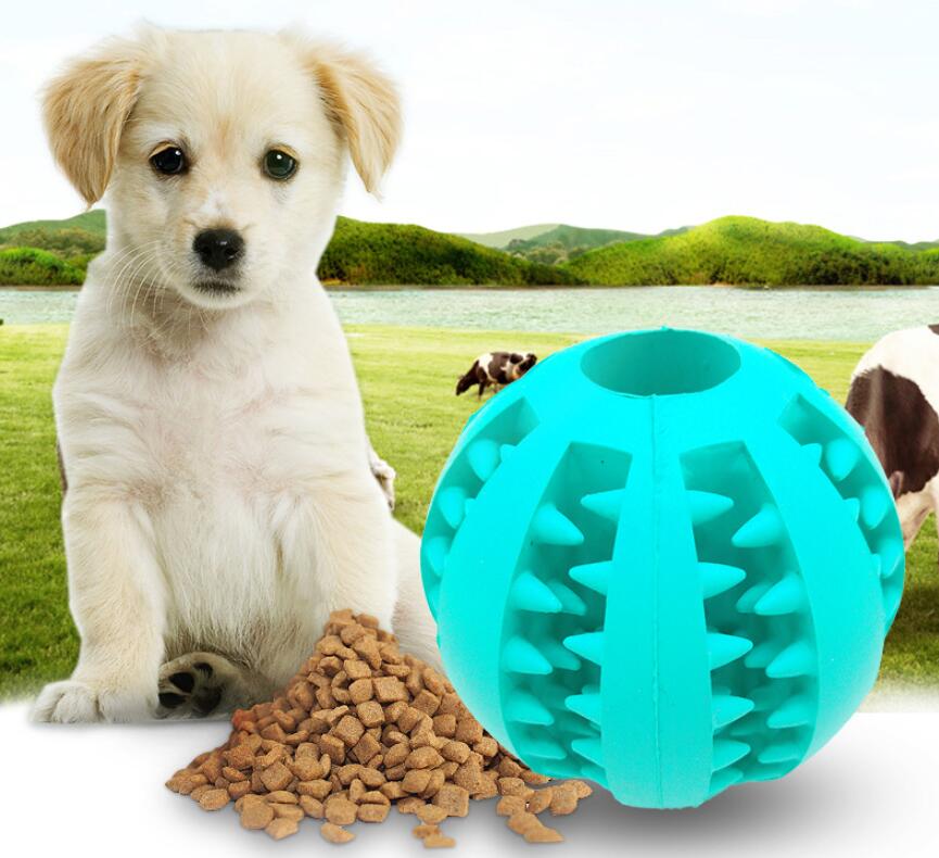 Slow Feeder Rubber Treat Ball