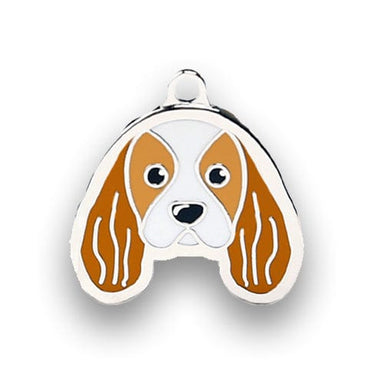 King Charles Spaniel - Buddies Pet Shop