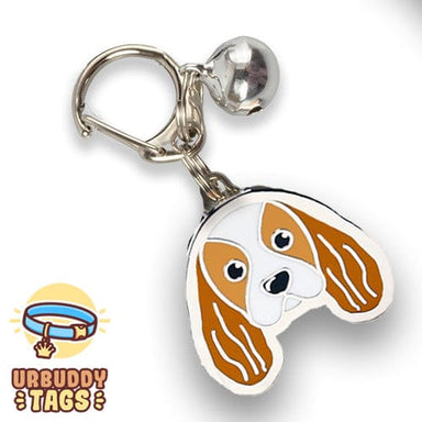 King Charles Spaniel - Buddies Pet Shop